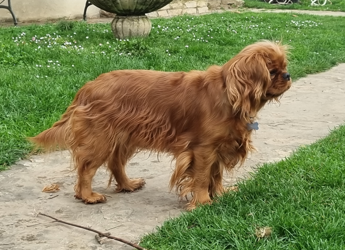 unik du Mont des Lauzes